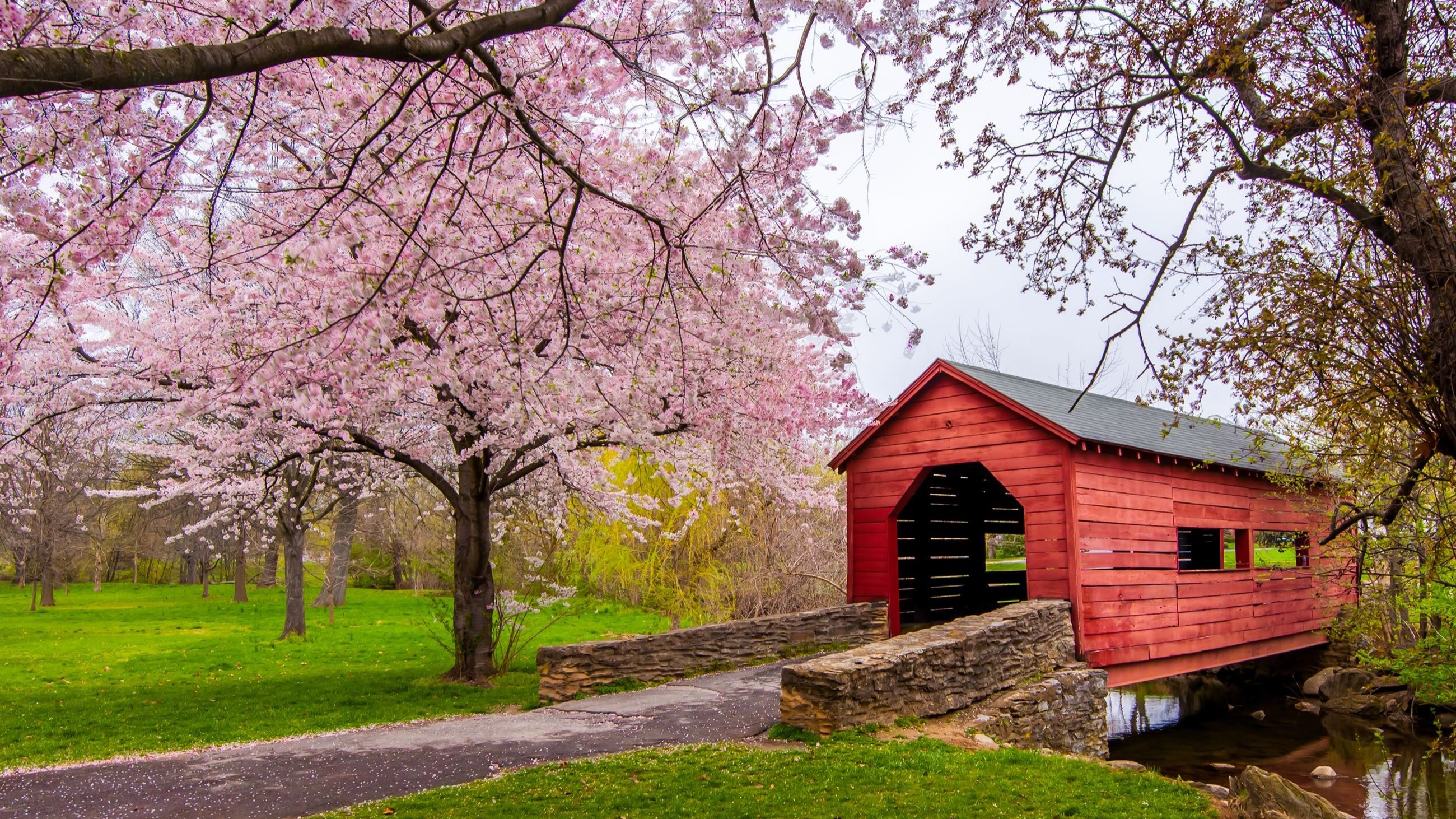 Frederick baker park